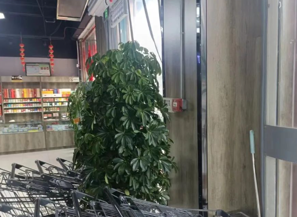 QQ浏览器截图20240721182039.png