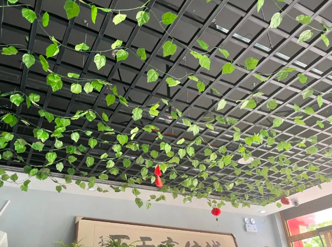 QQ浏览器截图20240721182803.png