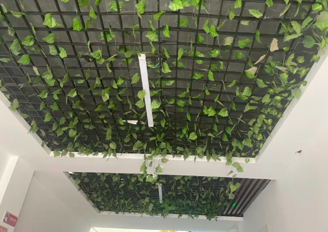 QQ浏览器截图20250216210232.png